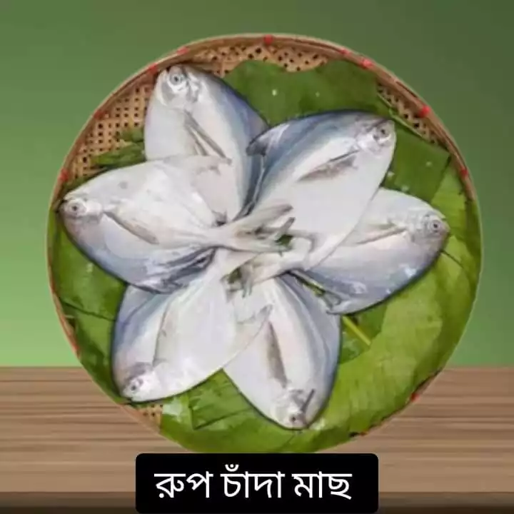 রুপচঁদা প্রমিয়াম সাইজ