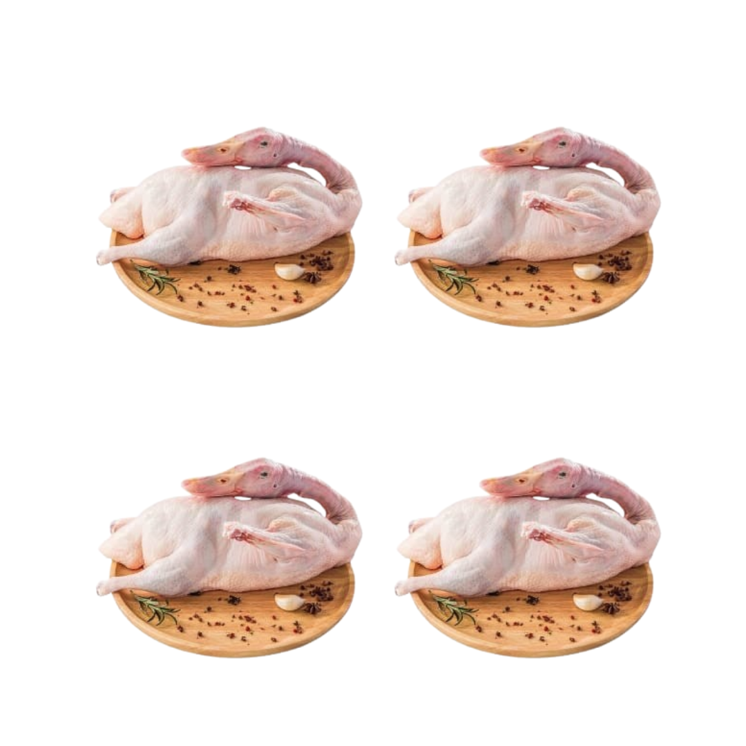 বেইজিং হাস প্রোসেসর পর ওজন করা